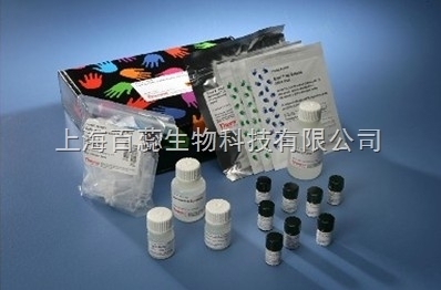 人環(huán)磷酸鳥苷(cGMP)ELISA試劑盒 詳細(xì)指導(dǎo)與可靠售后