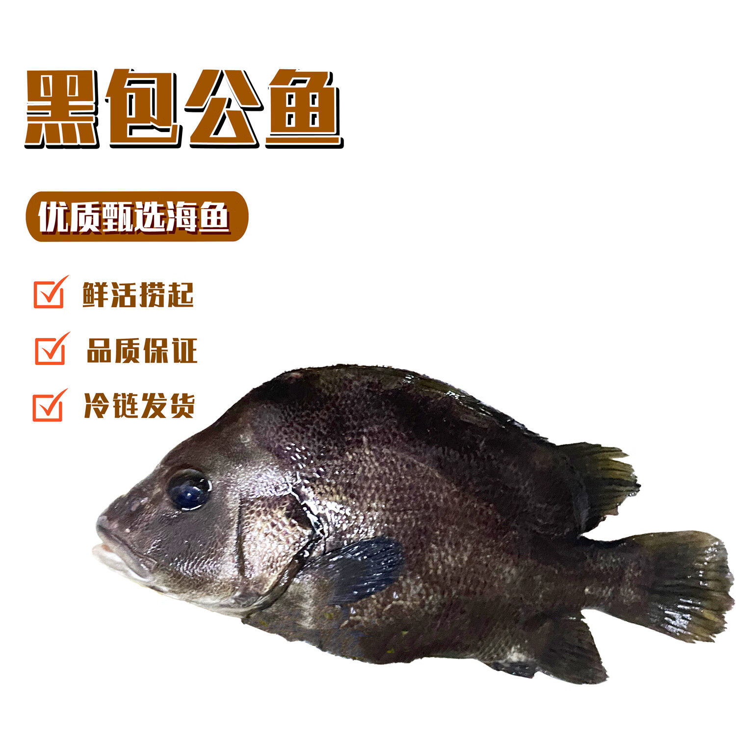 乃鮮海產(chǎn)品鮮活包公魚(yú) 新鮮現(xiàn)撈整條活凍真空 鮮活真空冷凍包公魚(yú)0.