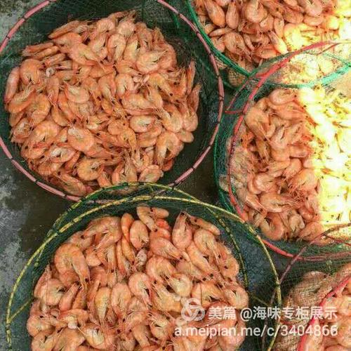 漁家自產(chǎn)自銷(xiāo)鮮活海產(chǎn)品