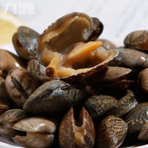 連云港貝類水產批發新鮮海鮮花甲鮮活花蛤無沙冰鮮海產品